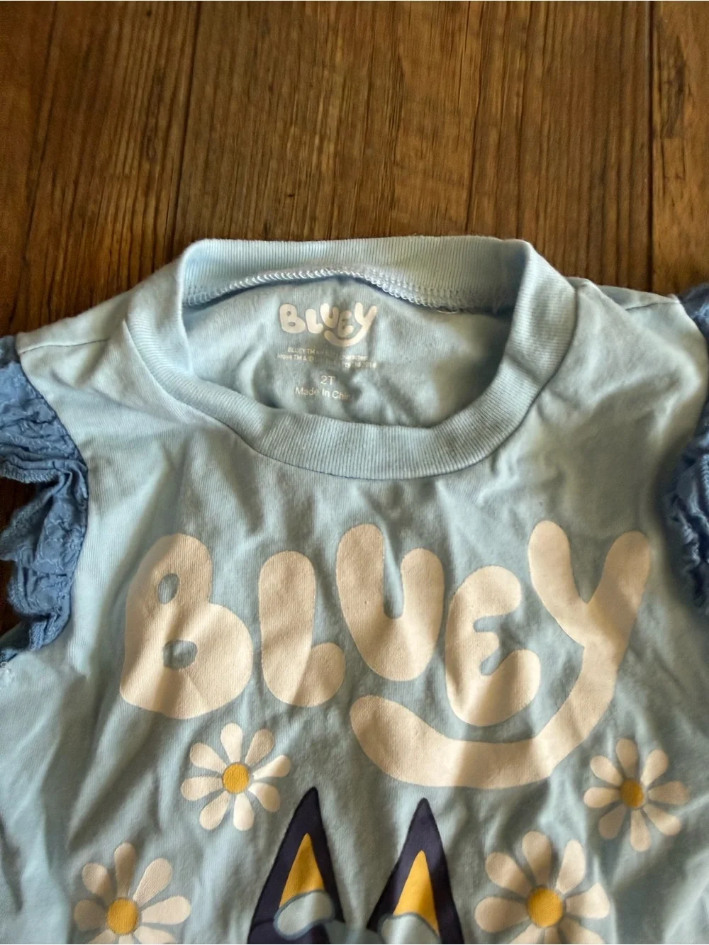 2T Girl Outfits (Various Brands)